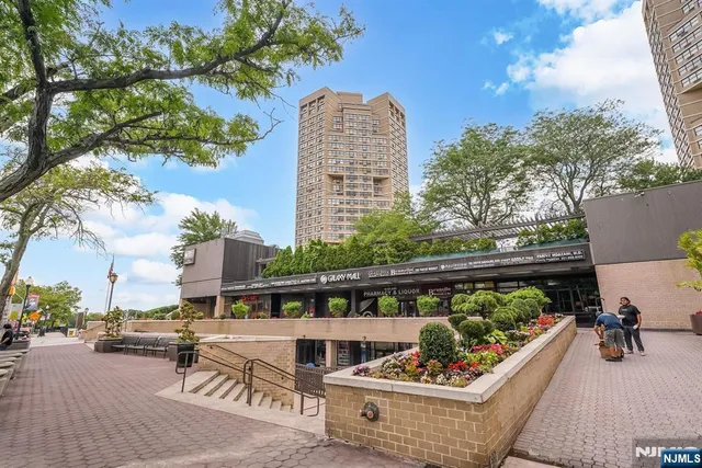 a view of a park with large trees