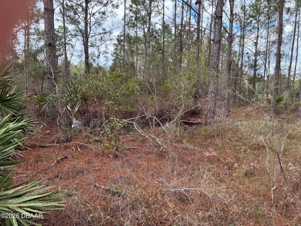 $139,000 | 0 Boice Lane, Ormond Beach, FL 32174