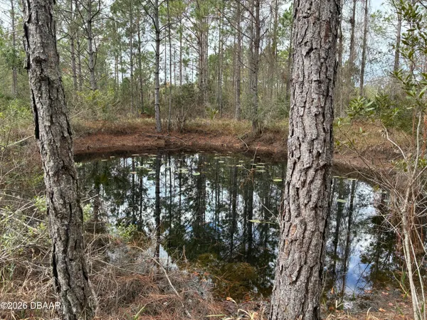 $139,000 | 0 Boice Lane, Ormond Beach, FL 32174