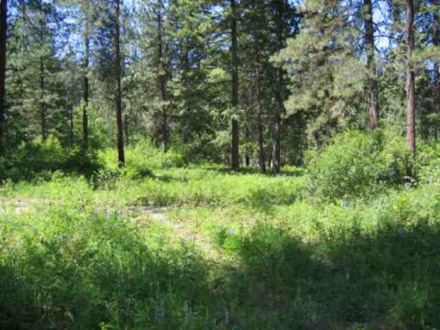 Lot 10 Murphy Road Kettle Falls, WA 99141 - Photo 1 of 3 Gallery Image 1