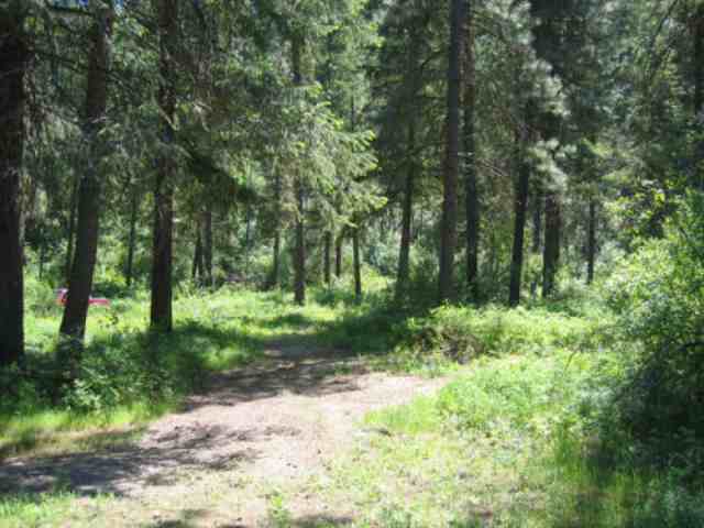 Lot 10 Murphy Road Kettle Falls, WA 99141 - Photo 2 of 3 Gallery Image 2