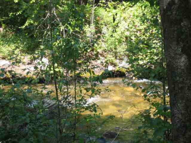 Lot 10 Murphy Road Kettle Falls, WA 99141 - Photo 3 of 3 Gallery Image 3