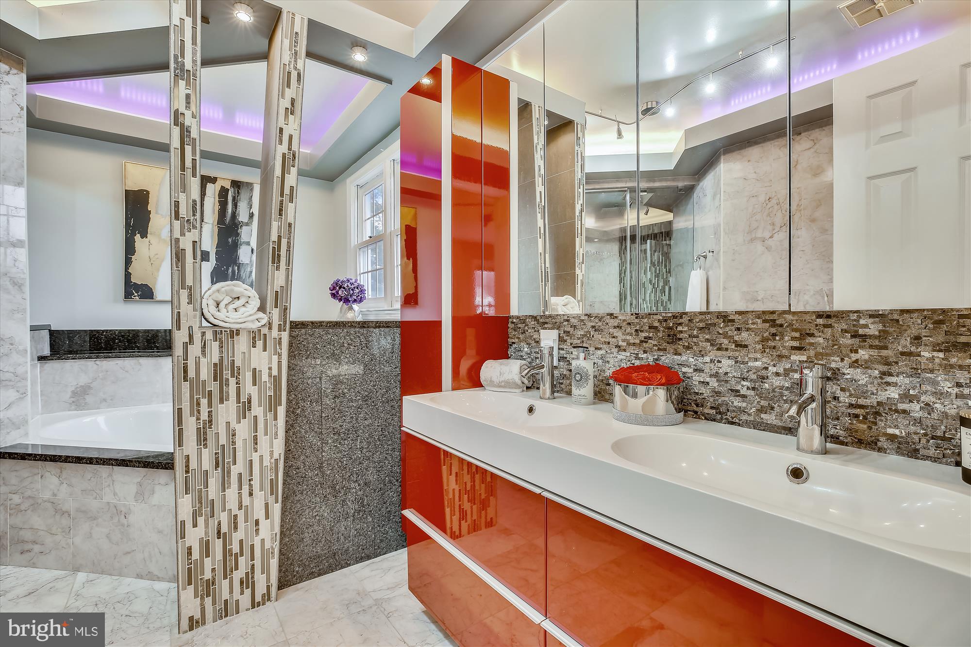 505 Ridgewell Way Silver Spring, MD 20902 - Photo 31 of 51 Primary Bathroom