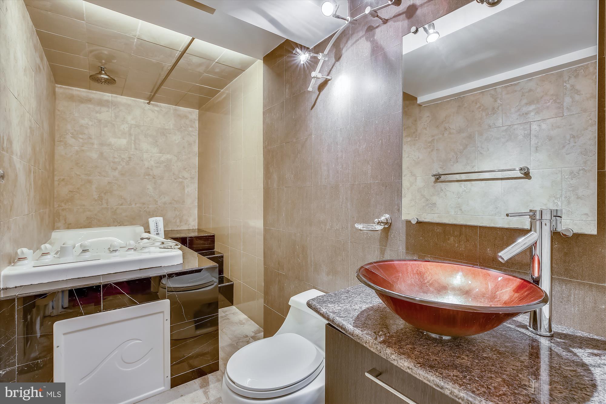 505 Ridgewell Way Silver Spring, MD 20902 - Photo 44 of 51 Bathroom 3 in Lower Level