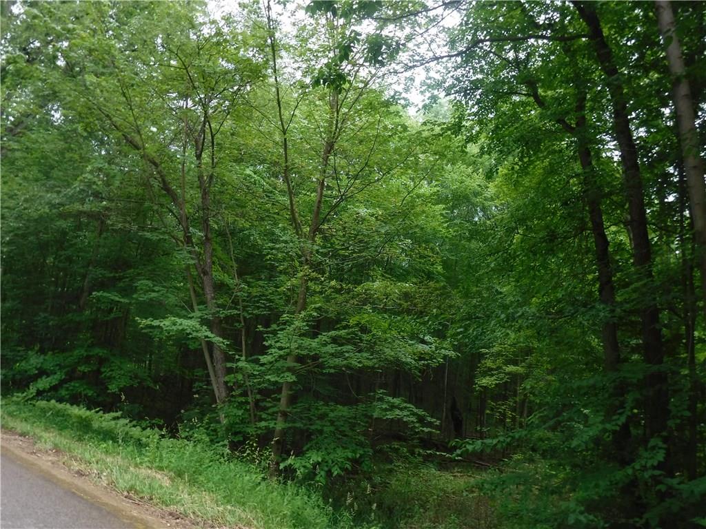 0 Spring Road Mercer, PA 16137 - Photo 2 of 3 Gallery Image 2
