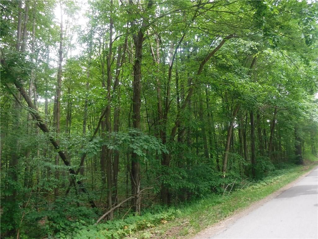 0 Spring Road Mercer, PA 16137 - Photo 3 of 3 Gallery Image 3