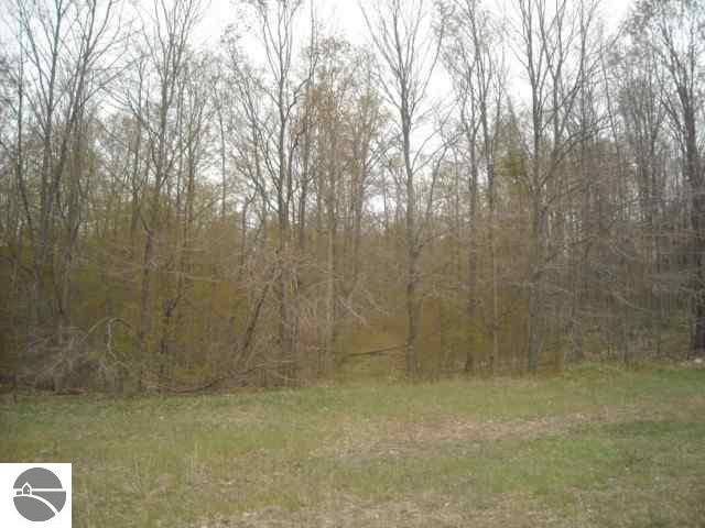 30 South Pioneer Road Beulah, MI 49617 - Photo 6 of 11 1735328-5.JPG