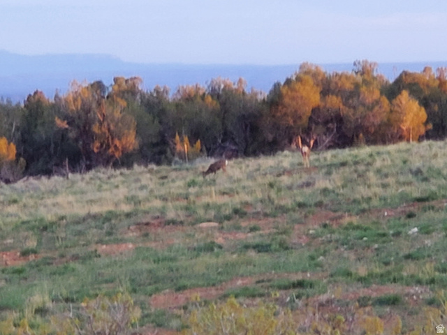 1251 South Eastland Road Monticello, UT 84535 - Photo 63 of 63