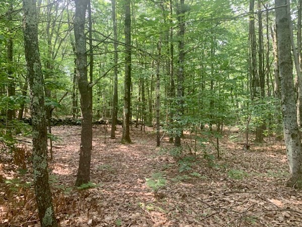 Lot 5 Richardson Road Ashby, MA 01431 - Photo 3 of 3 Gallery Image 3