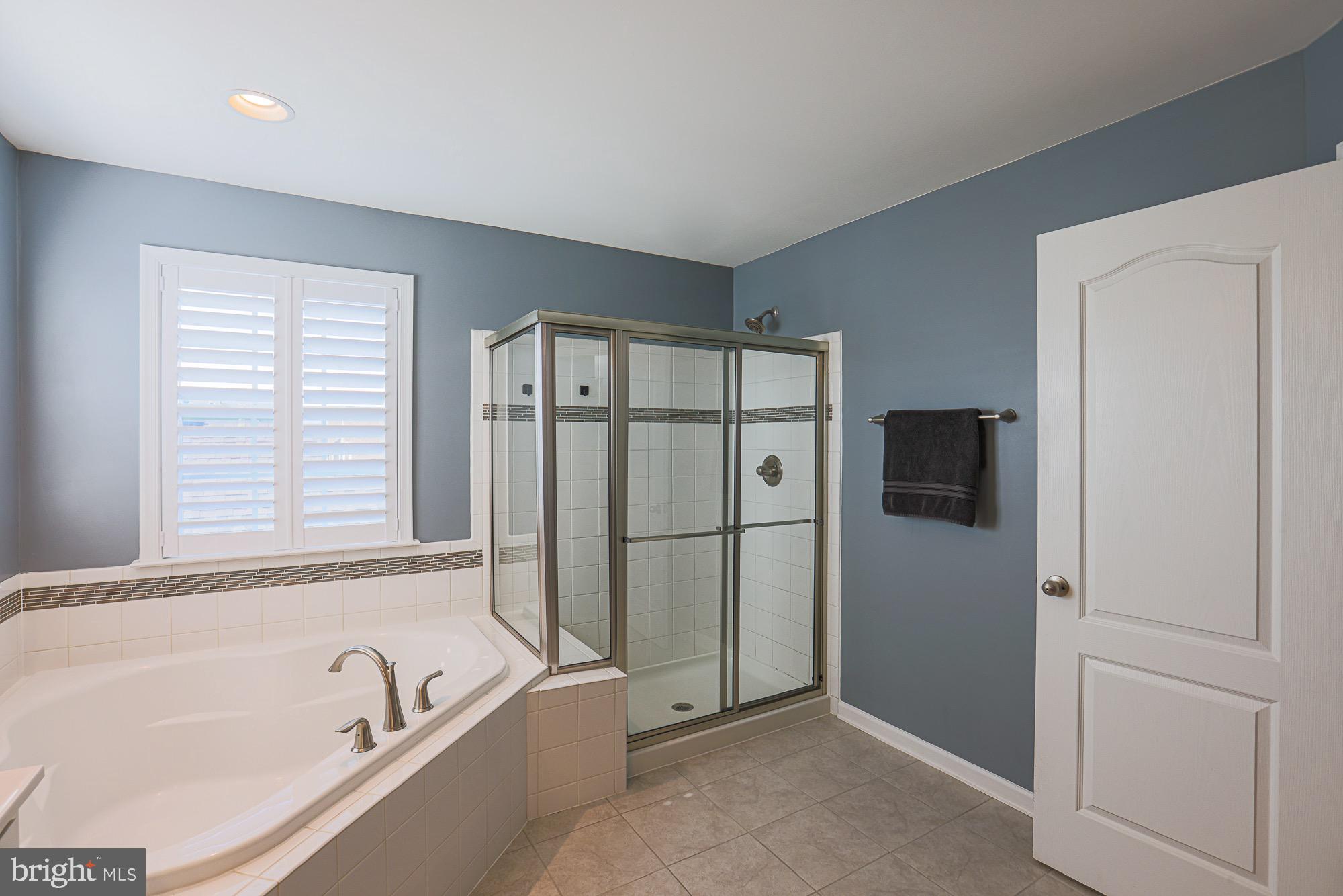 809 Jefferson Pike Brunswick, MD 21716 - Photo 41 of 64 Large soaking tub & custom window shutters.