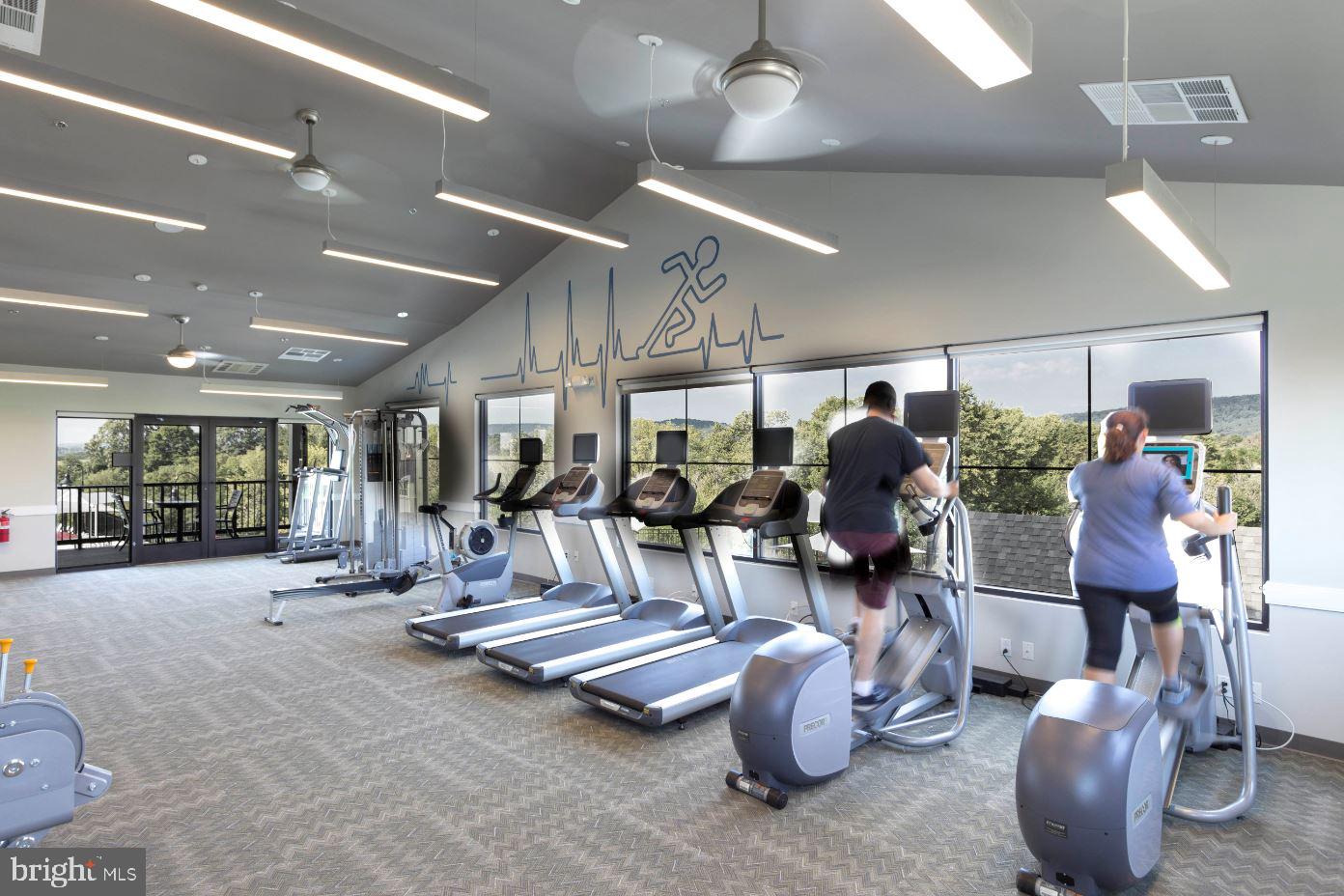 809 Jefferson Pike Brunswick, MD 21716 - Photo 56 of 64 a room with lots of gym equipment