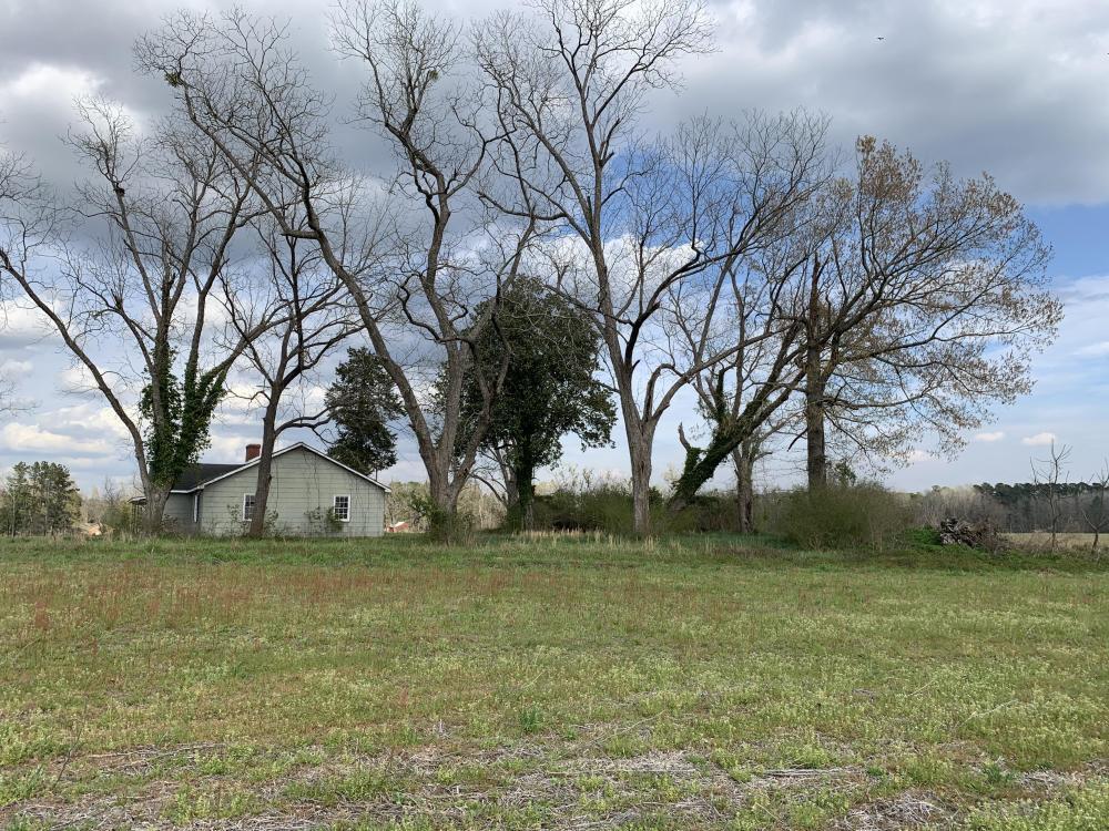 0 Central Road Kingstree, SC 29556 - Photo 22 of 37 22