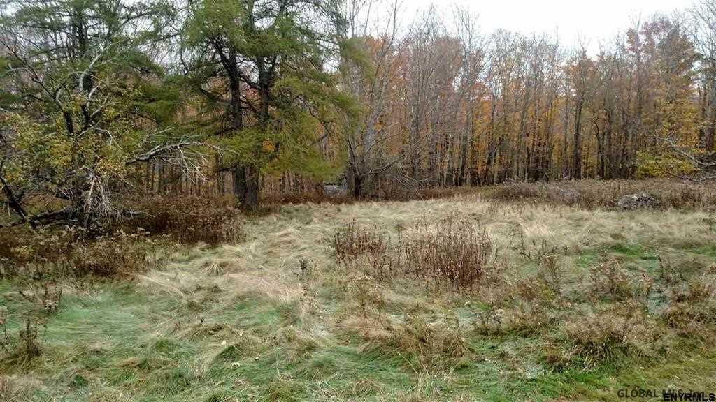 151 Legion Road Berlin, NY 12138 - Photo 5 of 7 Photo 5
