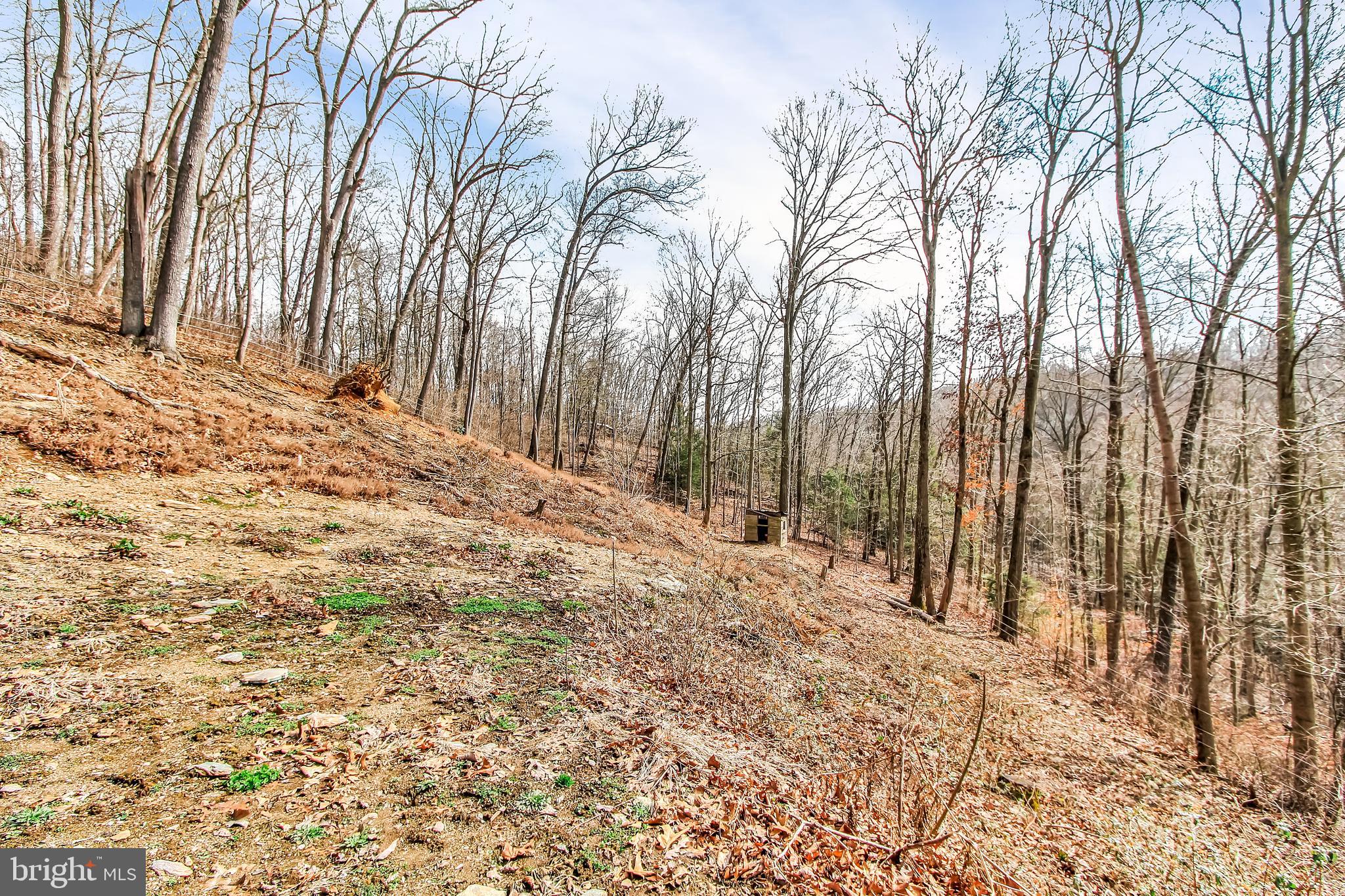 153 Castle Fin Road Delta, PA 17314 - Photo 36 of 55 Gallery Image 36