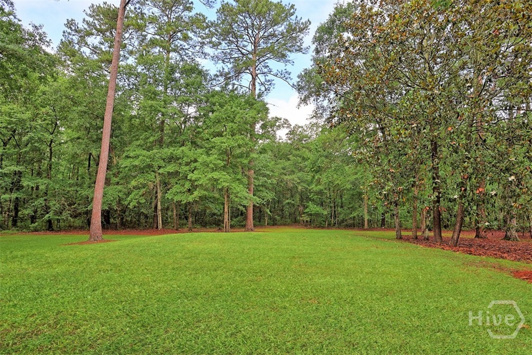 120 Lake Tomacheechee Drive Rincon, GA 31326 - Photo 41 of 51