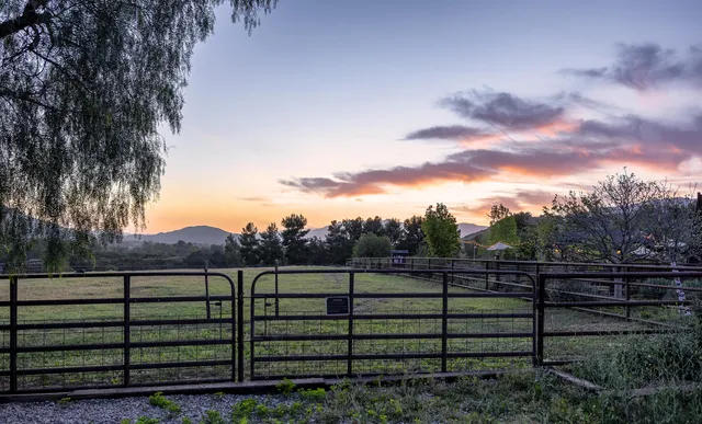 a view of a house with a garden
