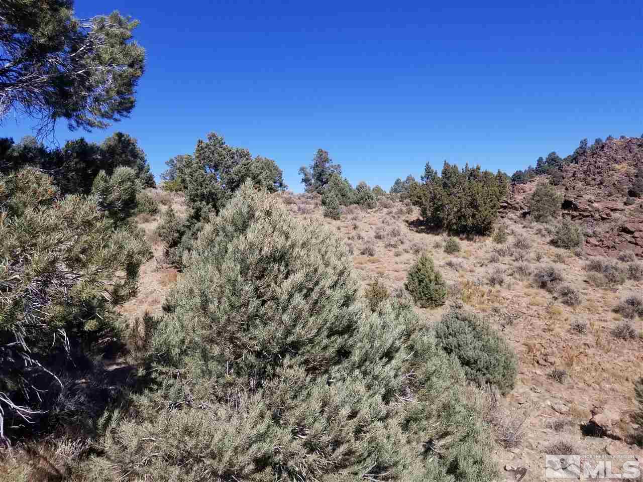 2470 Lousetown Road Reno, NV 89521 - Photo 1 of 7 a view of a dry field