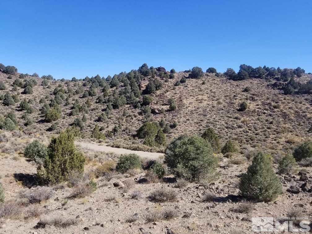 2470 Lousetown Road Reno, NV 89521 - Photo 2 of 7 a view of a beach with a mountain in the background