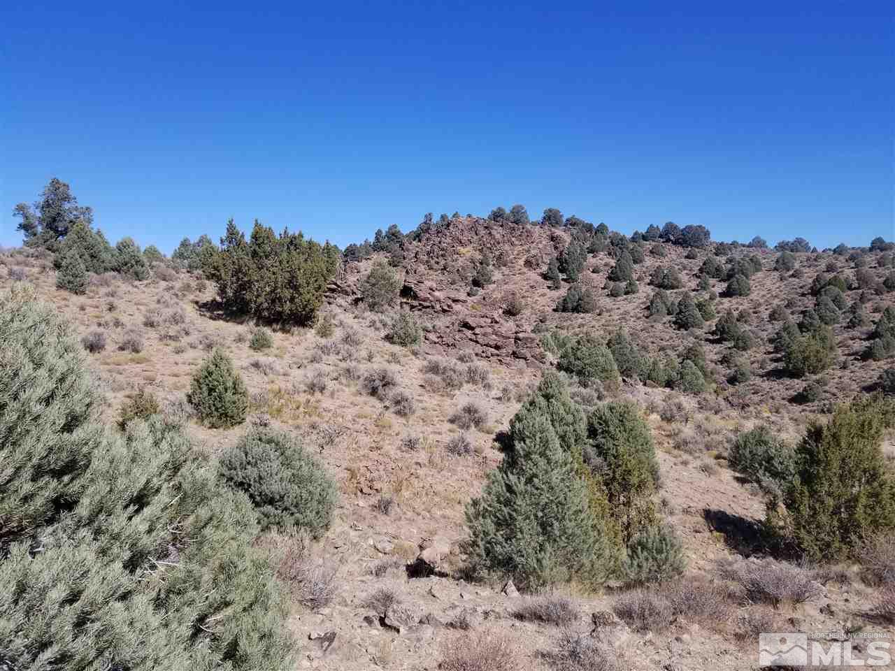 2470 Lousetown Road Reno, NV 89521 - Photo 4 of 7 a view of a dry field