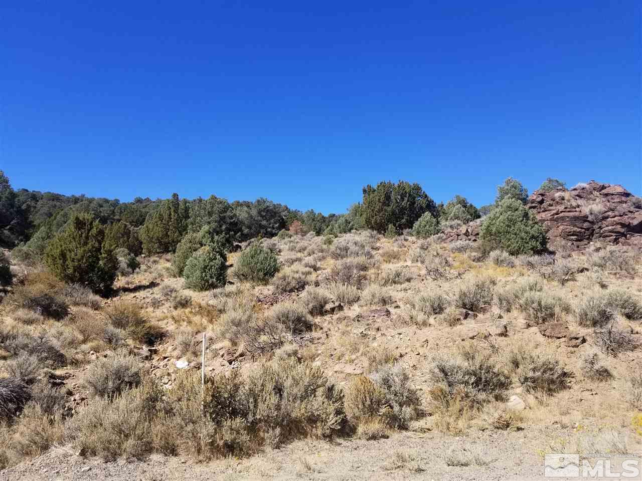 2470 Lousetown Road Reno, NV 89521 - Photo 5 of 7 a view of a dry yard