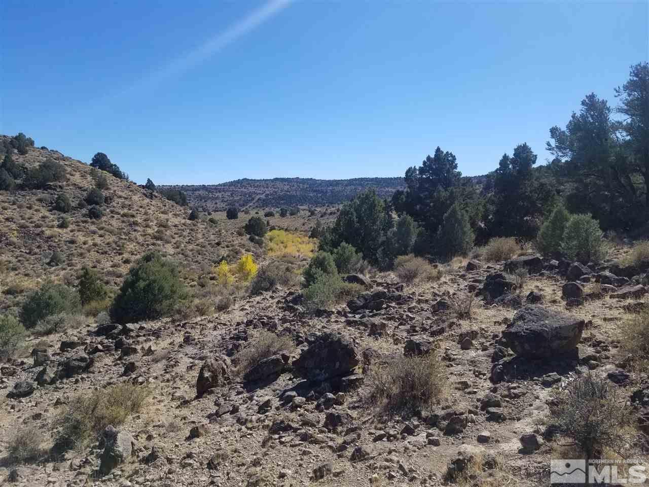 2470 Lousetown Road Reno, NV 89521 - Photo 6 of 7 a view of a dry yard with mountains in the background