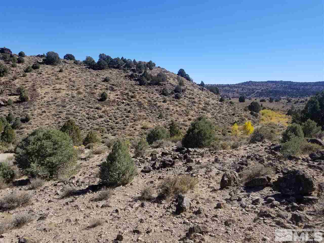 2470 Lousetown Road Reno, NV 89521 - Photo 7 of 7 a view of a dry field with lots of bushes