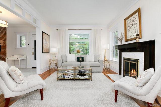 a living room with furniture or couch and a fireplace