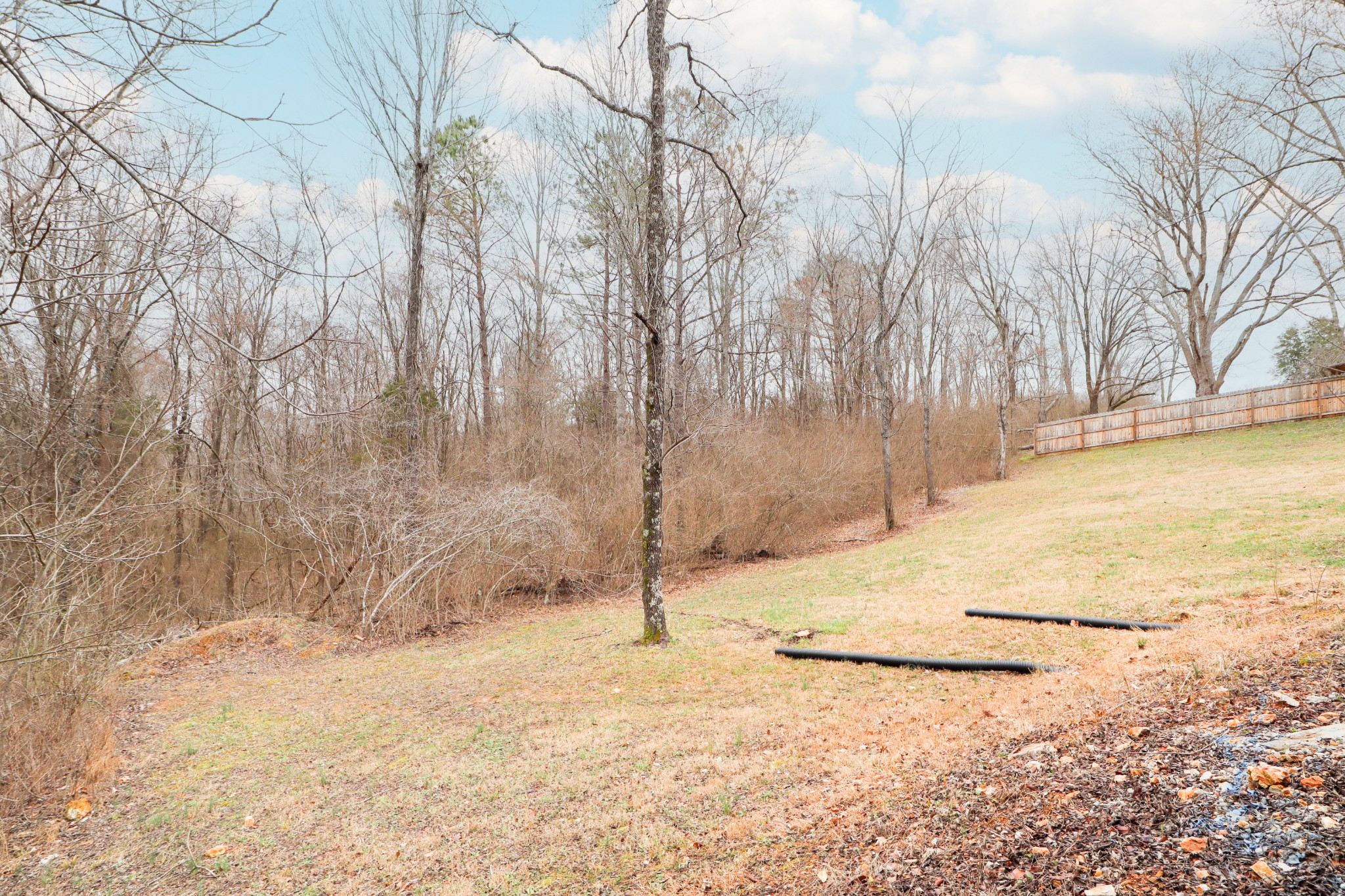 1008 Dawson Road White Bluff, TN 37187 - Photo 36 of 37 Gallery Image 36