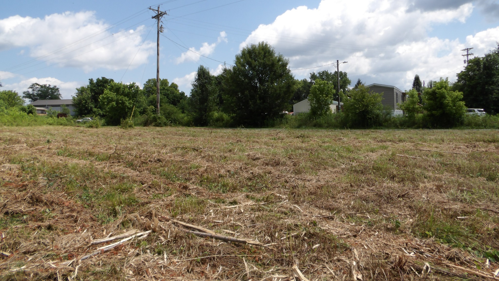 0 Lonnie Reecer Road Celina, TN 38551 - Photo 29 of 44