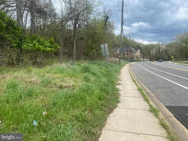 a view of park on side of street