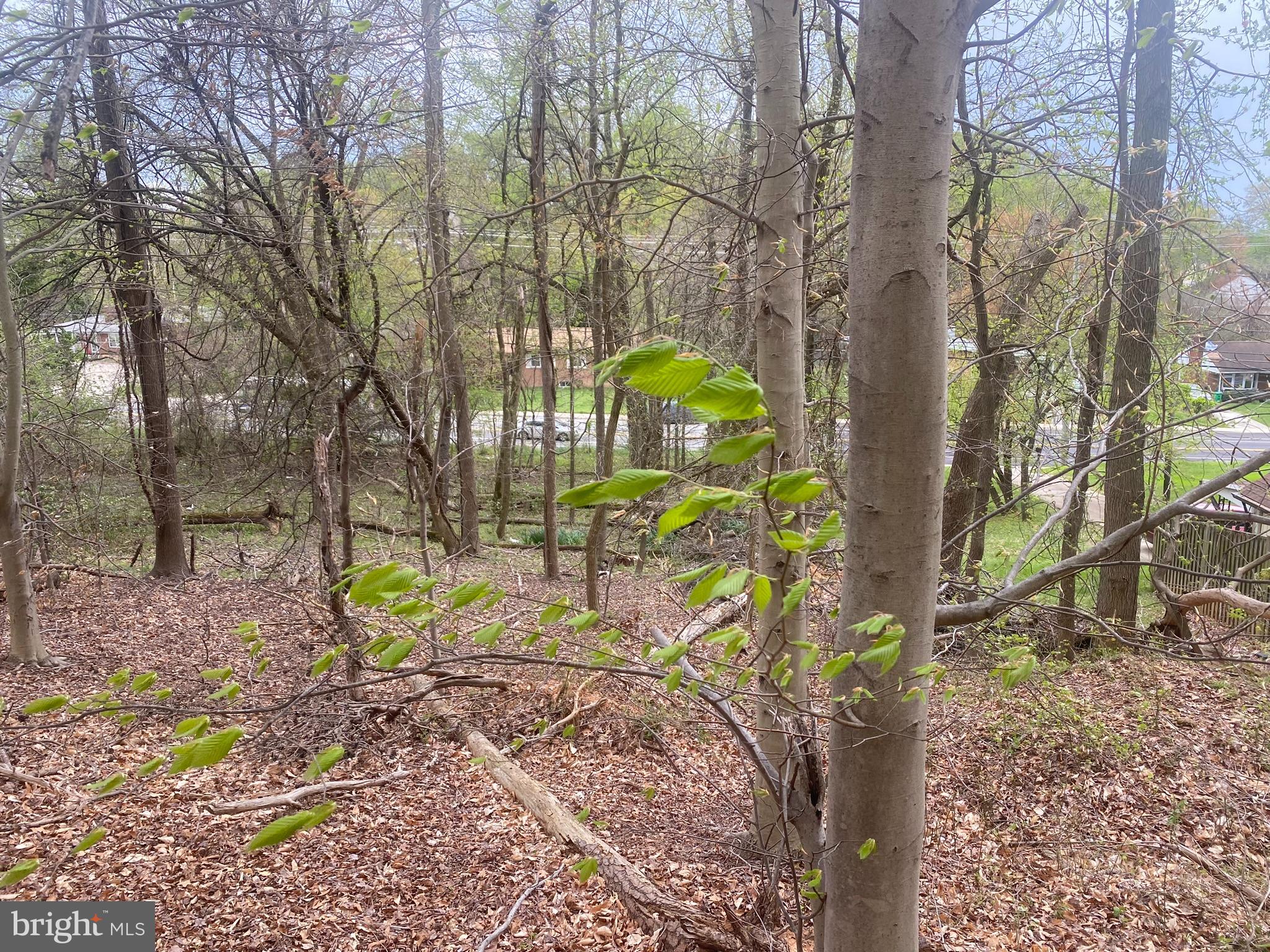 1030 Owens Road Oxon Hill, MD 20745 - Photo 6 of 11 a view of a park