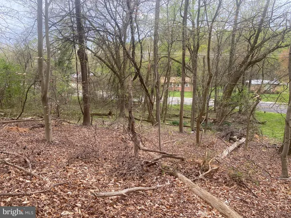 a view of house with trees