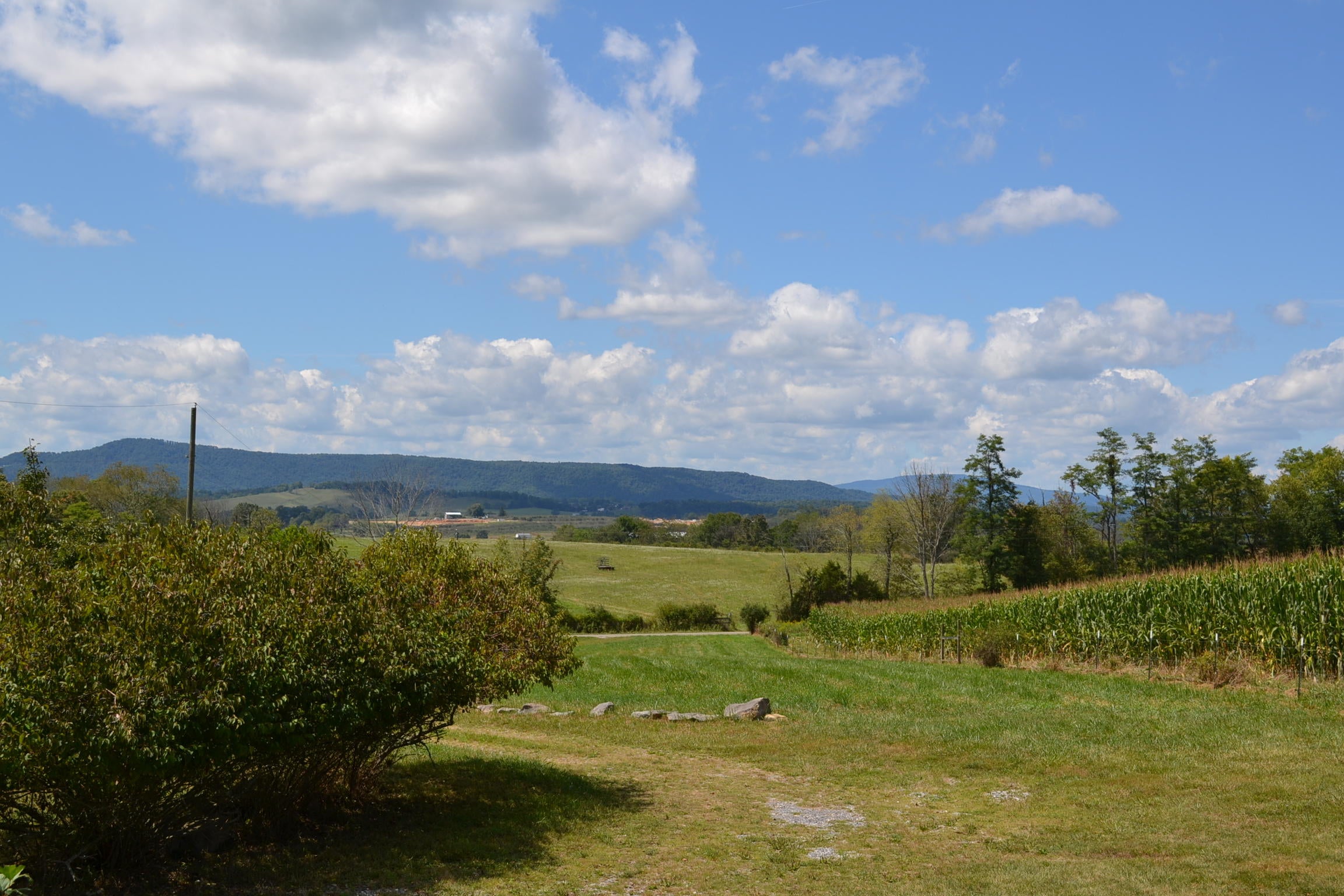 1310 Moore Road Sinks Grove, WV 24976 - Photo 20 of 59 Gallery Image 20