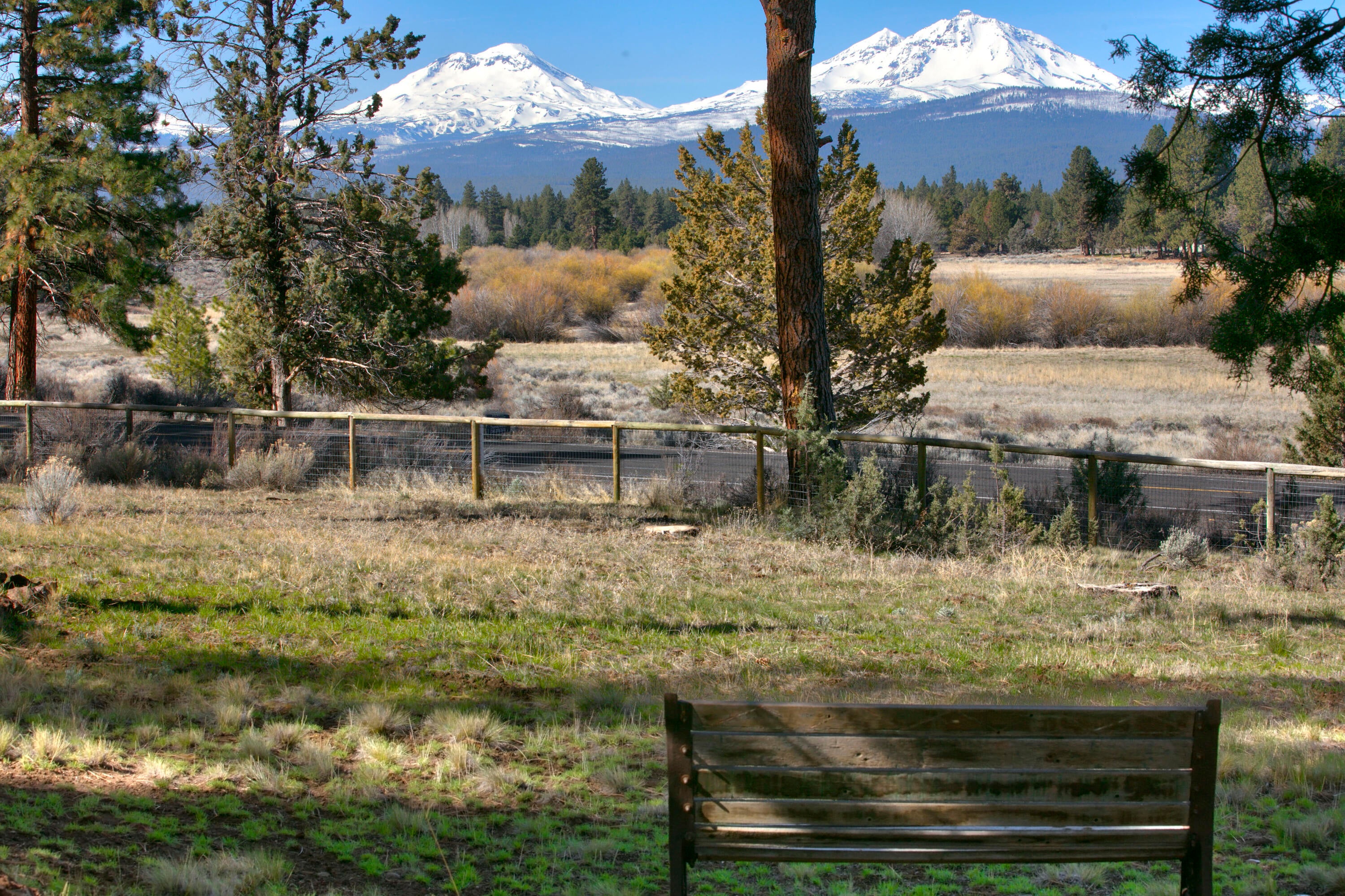 69825 Pine Ridge Road Sisters, OR 97759 - Photo 5 of 43 69825 Pine Ridge Rd._006