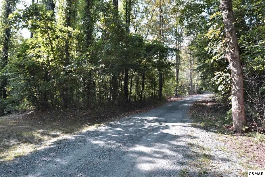 34 Laurel Springs Road Cosby, TN 37722 - Photo 1 of 12 Gallery Image 1