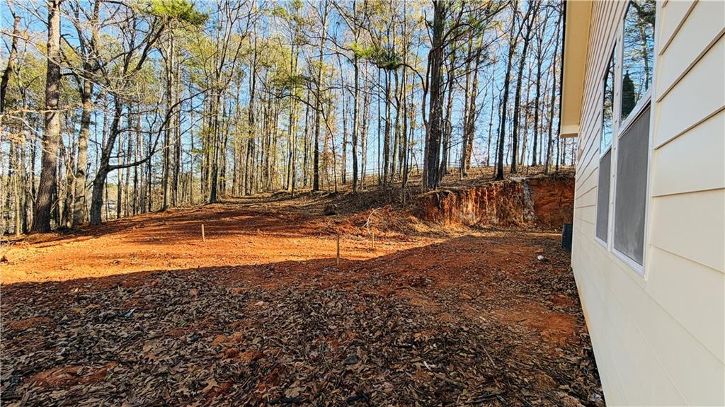 8060 Nebo Road Hiram, GA 30141 - Photo 6 of 41