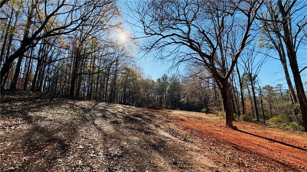 8060 Nebo Road Hiram, GA 30141 - Photo 10 of 41