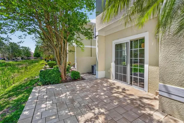 a view of a backyard with plants and large trees