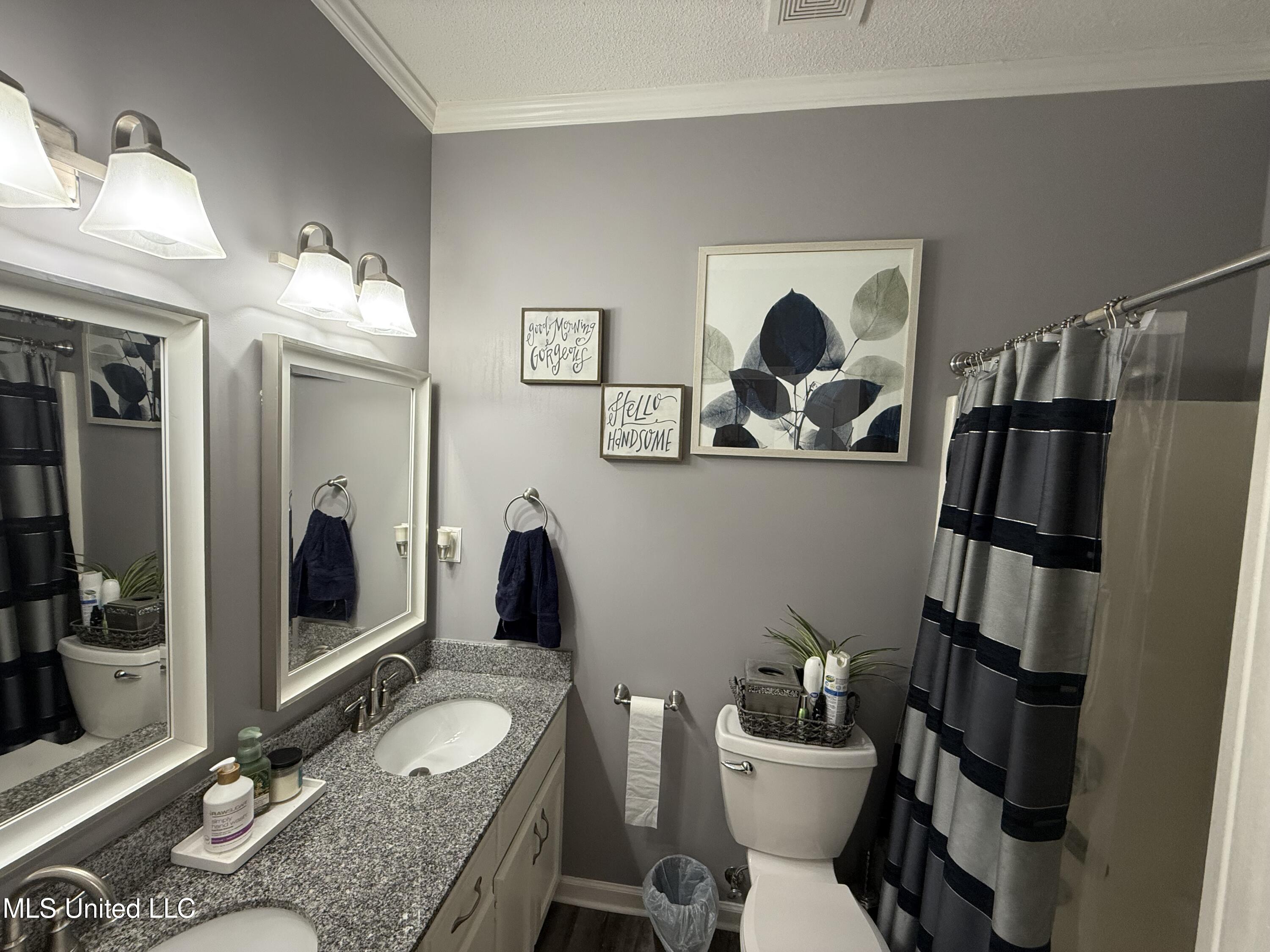 2843 Dulaney Road Tunica, MS 38676 - Photo 9 of 14 Bathroom (guest)