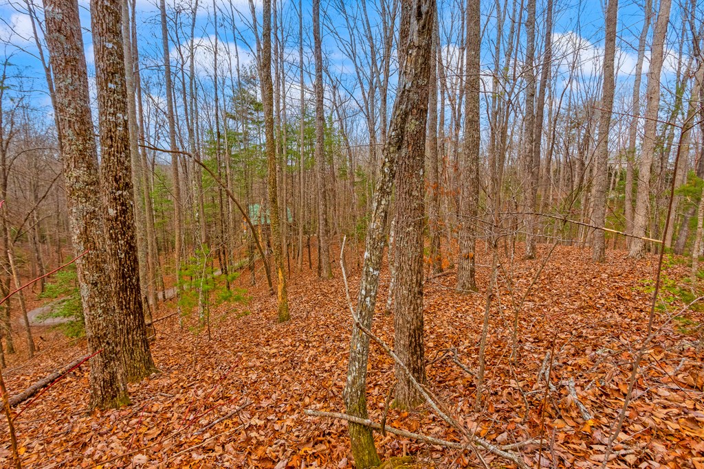 1.03-ac Guy Eller Road Murphy, NC 28906 - Photo 11 of 23
