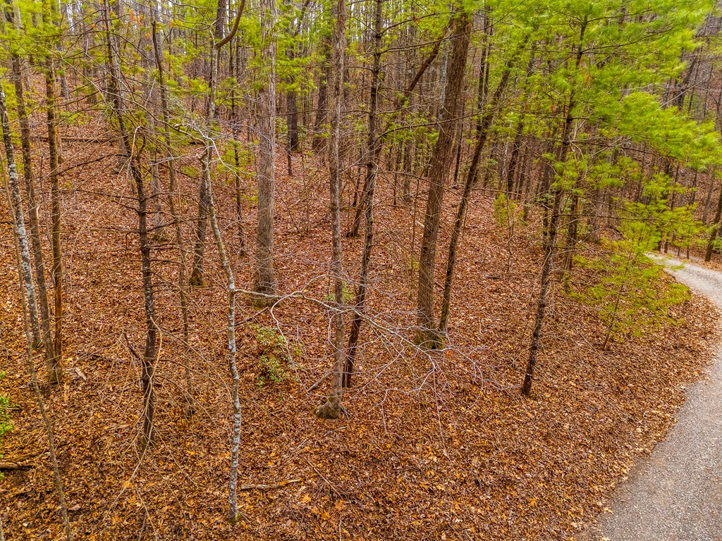 1.03-ac Guy Eller Road Murphy, NC 28906 - Photo 14 of 23