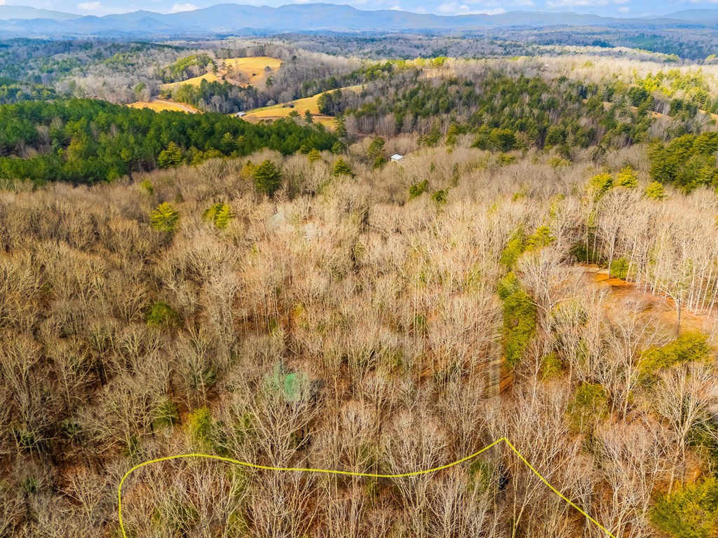 1.03-ac Guy Eller Road Murphy, NC 28906 - Photo 18 of 23