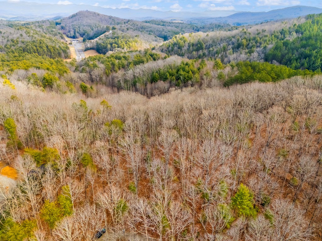 1.03-ac Guy Eller Road Murphy, NC 28906 - Photo 19 of 23