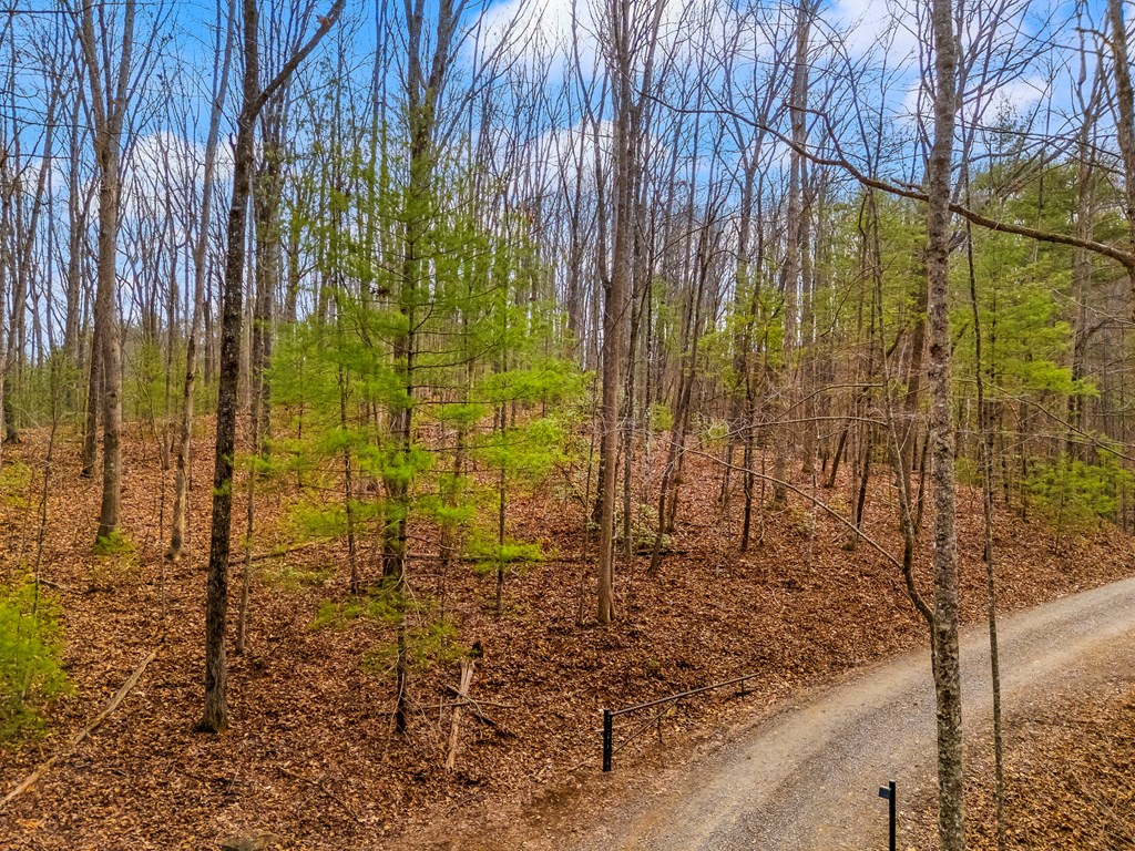 1.03-ac Guy Eller Road Murphy, NC 28906 - Photo 3 of 23