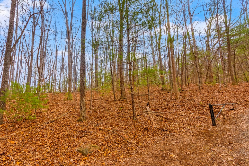 1.03-ac Guy Eller Road Murphy, NC 28906 - Photo 4 of 23