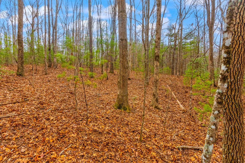 1.03-ac Guy Eller Road Murphy, NC 28906 - Photo 5 of 23