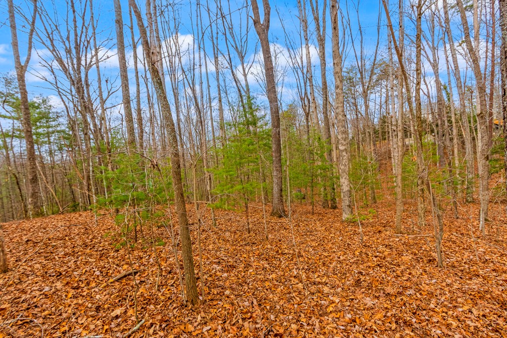 1.03-ac Guy Eller Road Murphy, NC 28906 - Photo 8 of 23