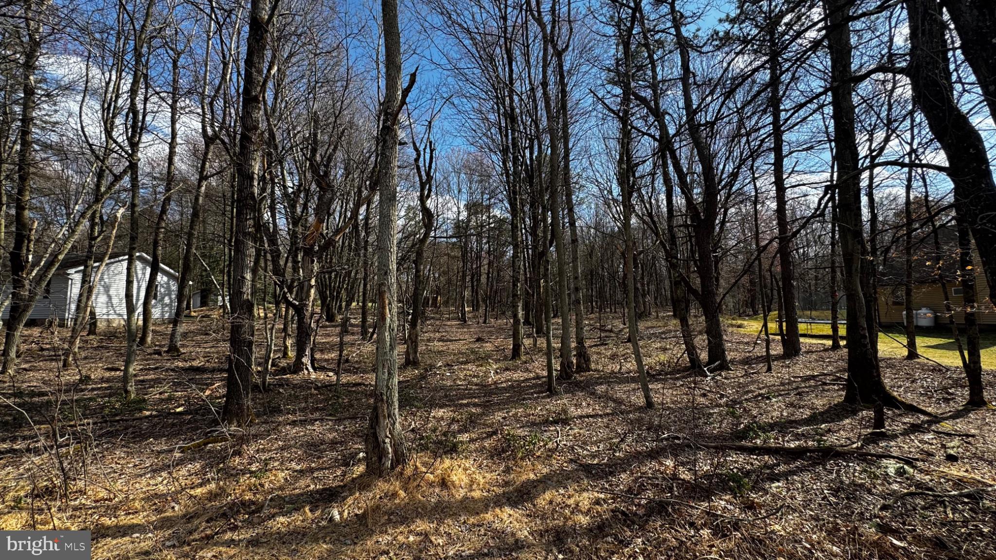 0 Stony Mountain Road Albrightsville, PA 18210 - Photo 12 of 24 Serene woodland retreat awaits discovery.