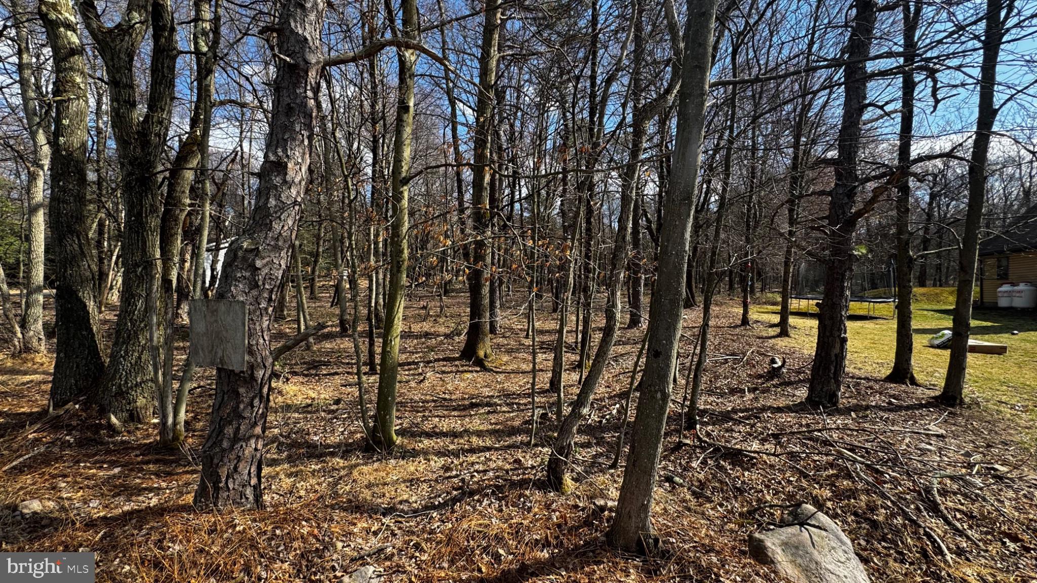 0 Stony Mountain Road Albrightsville, PA 18210 - Photo 13 of 24 Serene woodland retreat awaits exploration.