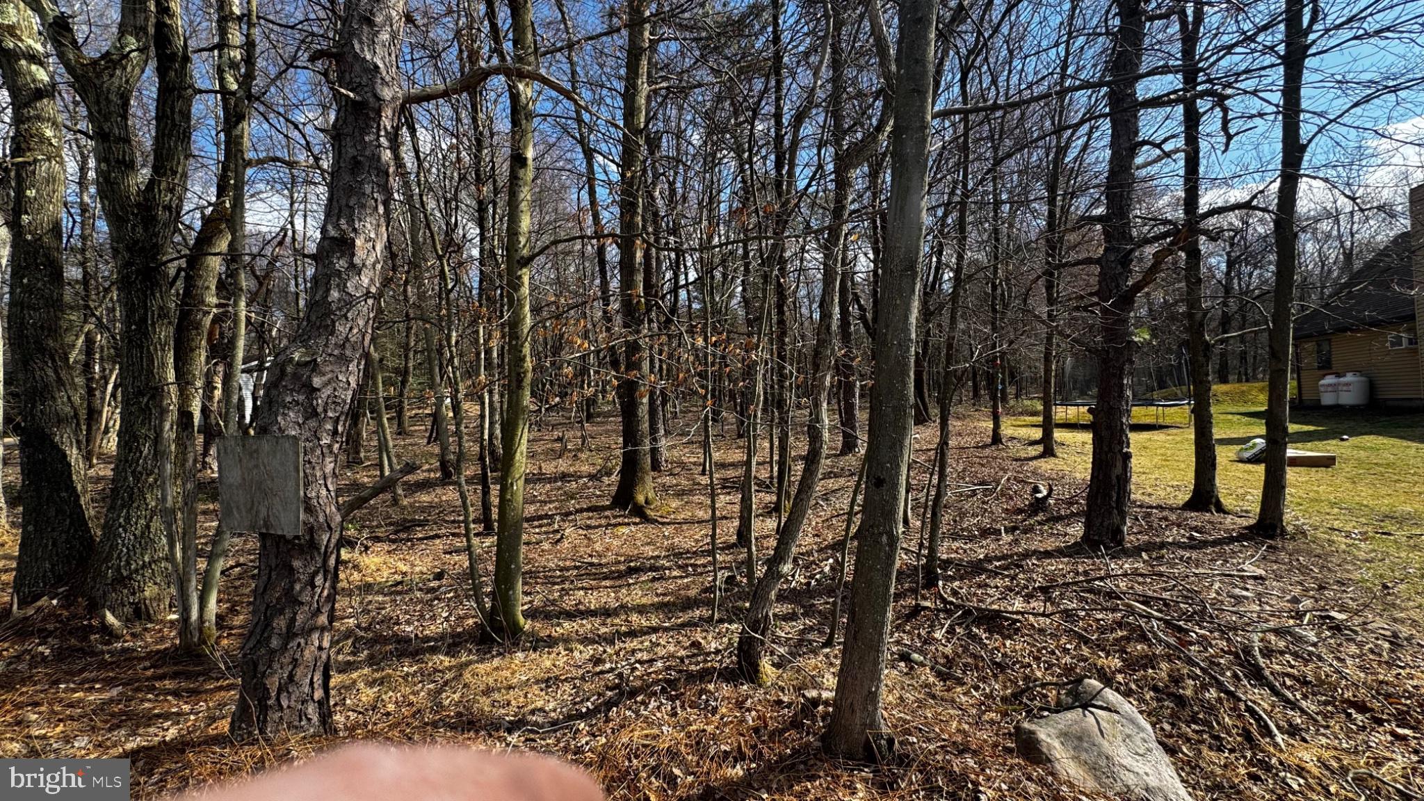 0 Stony Mountain Road Albrightsville, PA 18210 - Photo 14 of 24 Serene woodland retreat awaits you.